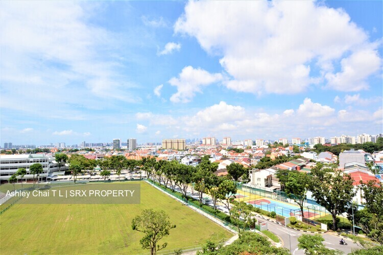 Blk 55 Chai Chee Drive (Bedok), HDB 3 Rooms #258927311